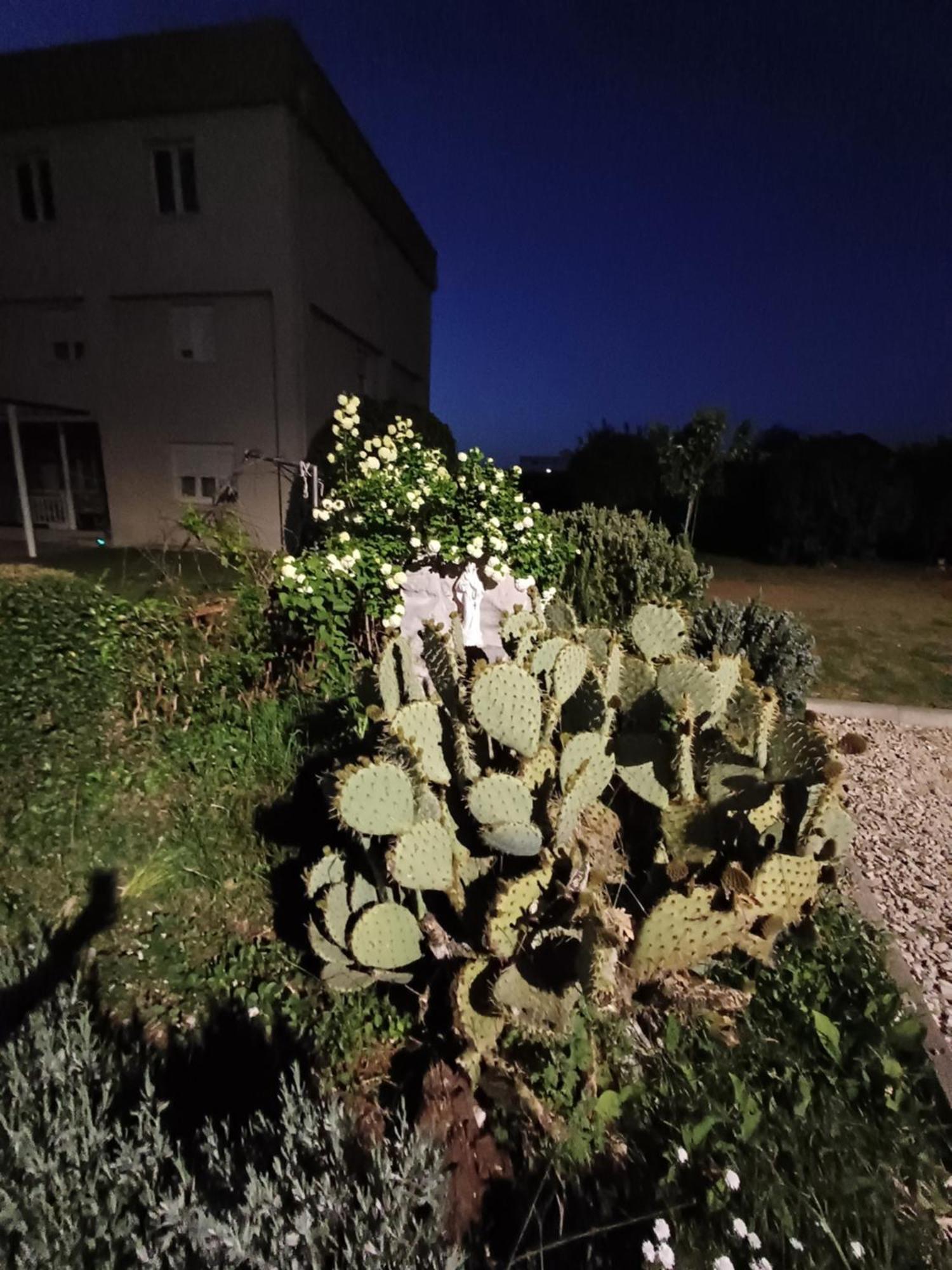 Villa Ana Medjugorje Ngoại thất bức ảnh