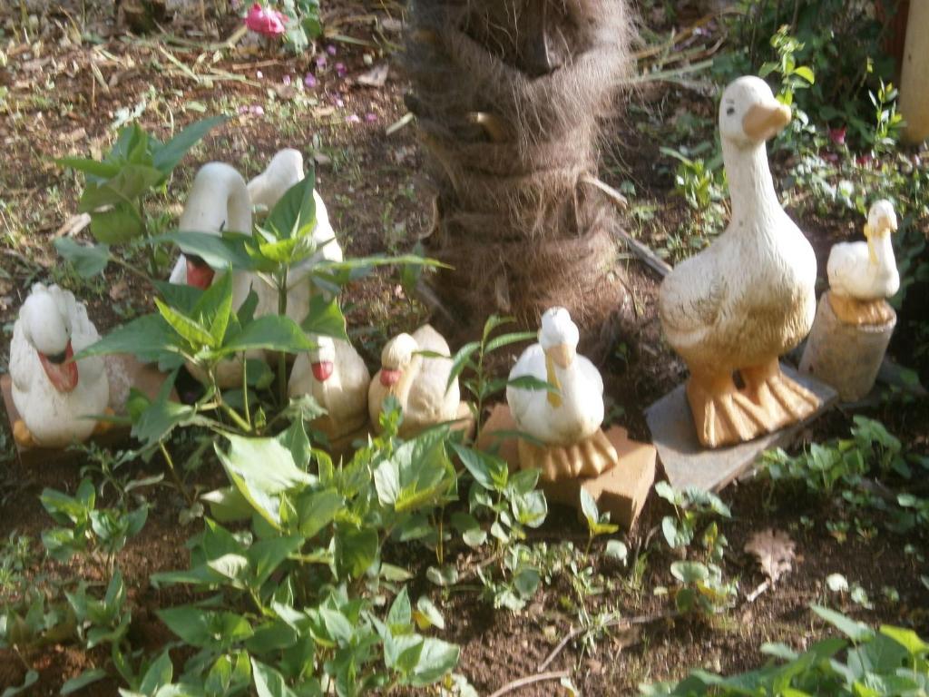 Villa Ana Medjugorje Ngoại thất bức ảnh
