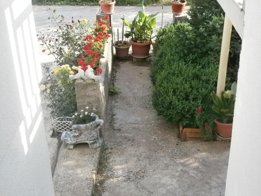 Villa Ana Medjugorje Ngoại thất bức ảnh